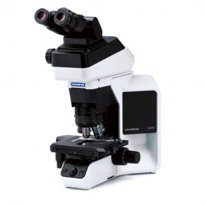 BX46