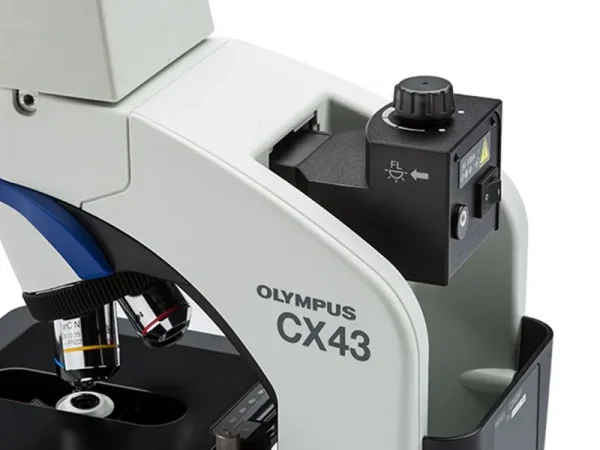 CX43 - Imagen 3