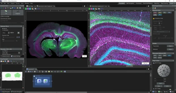IXplore IX85 - Imagen 4